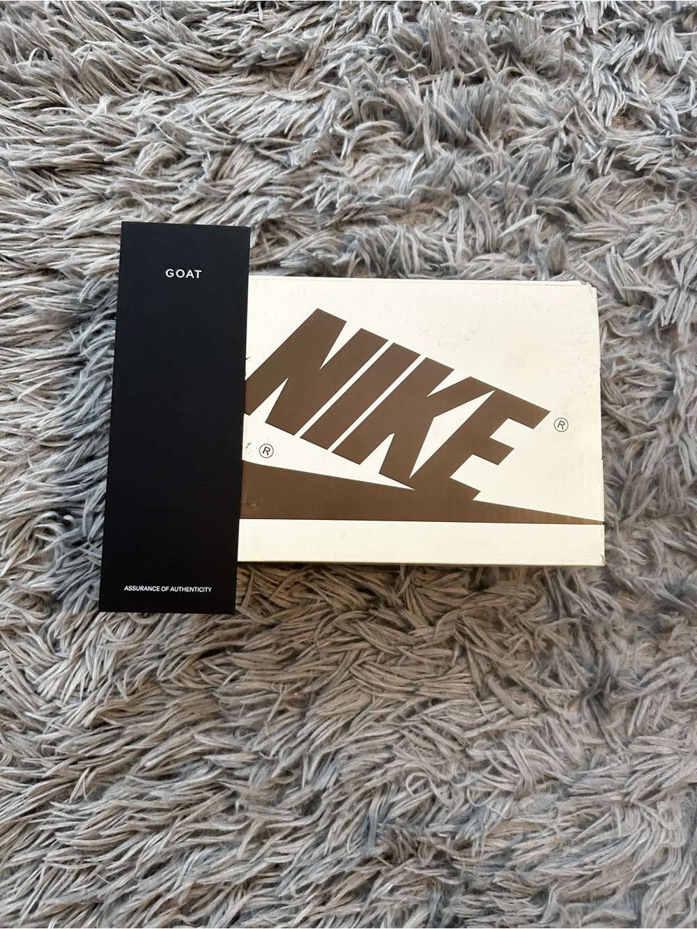 Nike Box with Brown Logo on White Lid